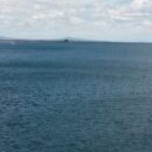 Foto de perfil de Adriana Cristina Ciancia